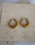 Gold Hoops ✨️